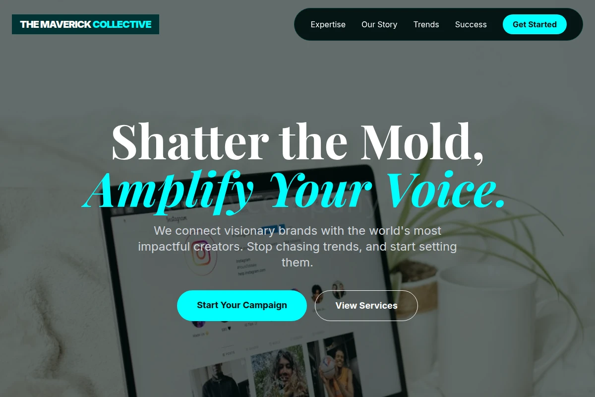 Spectrum Influencer Marketing