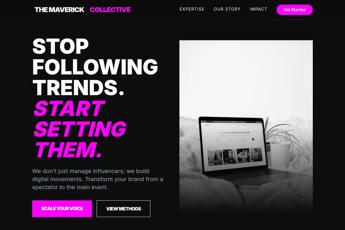 Disruptor Influencer Marketing